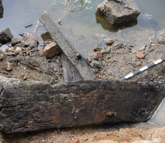 Toruń. Niski stan Wisły odsłonił relikty szkuty z XV wieku! (GALERIA) Szkuta odkryta na brzegu Wisły w Toruniu