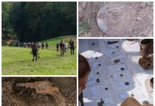 Detektoryści przeszukali teren Twierdzy Modlin – odkryli wiele wyjątkowych artefaktów (GALERIA) I Zlot Detektorystów w Twierdzy Modlin