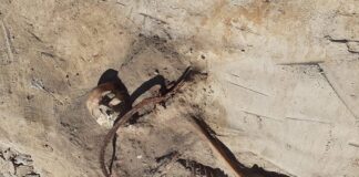 Wampiryczny pochówek z XVII wieku odkryty we wsi pod Bydgoszczą! Grób kobiety wampira z XVII wieku