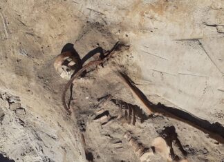 Wampiryczny pochówek z XVII wieku odkryty we wsi pod Bydgoszczą! Grób kobiety wampira z XVII wieku