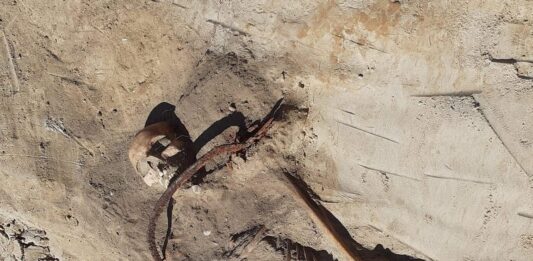 Wampiryczny pochówek z XVII wieku odkryty we wsi pod Bydgoszczą! Grób kobiety wampira z XVII wieku