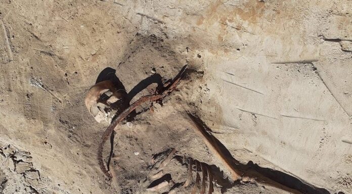 Wampiryczny pochówek z XVII wieku odkryty we wsi pod Bydgoszczą! Grób kobiety wampira z XVII wieku