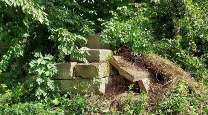 Tajemnicze znalezisko na terenie Wojskowego Szpitala Klinicznego w Lublinie! (GALERIA) Kamienne bloki z pomnika Nieznanego Żołnierza odkryte na terenie szpitala w Lublinie