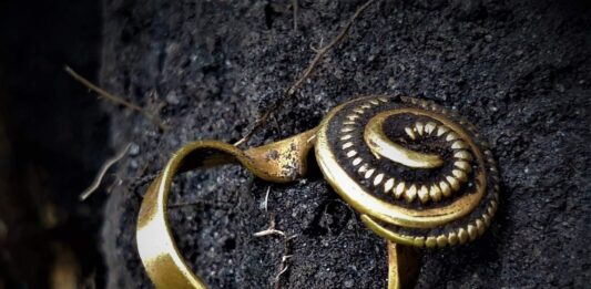 Rzymskie artefakty w okolicach Brześcia Kujawskiego odkryte wykrywaczem! (ZDJĘCIA) Złoty pierścień z Okresu Wpływów Rzymskich znaleziony wykrywaczem metali