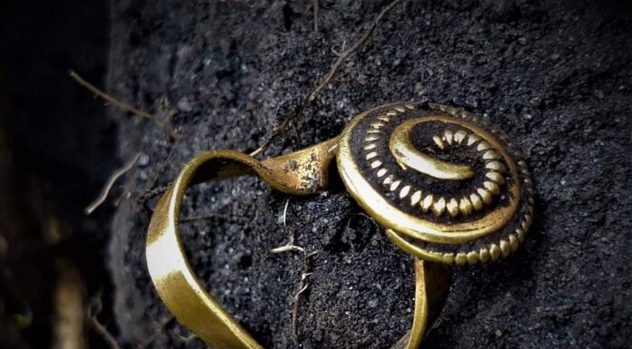 Rzymskie artefakty  w okolicach Brześcia Kujawskiego odkryte wykrywaczem! (ZDJĘCIA) Złoty pierścień z Okresu Wpływów Rzymskich znaleziony wykrywaczem metali