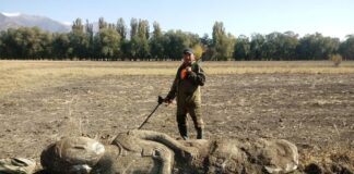 Kopał ziemniaki. Wykopał posąg wojownika z VI wieku! Kamienny posąg z VI wieku