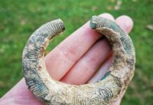 Wyjątkowy artefakt sprzed 4 tys. lat znaleziony pod Brzeskiem wykrywaczem (GALERIA) Bransoleta z epoki brązu znaleziona wykrywaczem metali