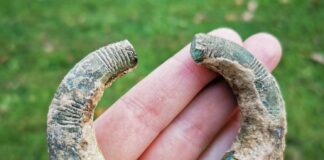 Wyjątkowy artefakt sprzed 4 tys. lat znaleziony pod Brzeskiem wykrywaczem (GALERIA) Bransoleta z epoki brązu znaleziona wykrywaczem metali