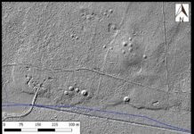 Setki kurhanów i dawne pola odkryte w Puszczy Białowieskiej Kurhany i starożytne pola odkryte w Puszczy Białowieskiej