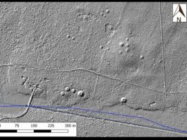 Setki kurhanów i dawne pola odkryte w Puszczy Białowieskiej Kurhany i starożytne pola odkryte w Puszczy Białowieskiej