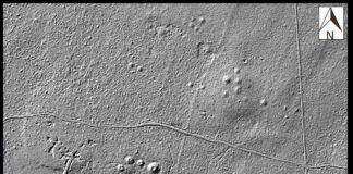 Setki kurhanów i dawne pola odkryte w Puszczy Białowieskiej Kurhany i starożytne pola odkryte w Puszczy Białowieskiej