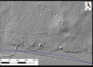 Setki kurhanów i dawne pola odkryte w Puszczy Białowieskiej Kurhany i starożytne pola odkryte w Puszczy Białowieskiej