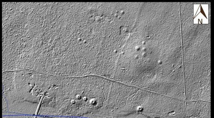 Setki kurhanów i dawne pola odkryte w Puszczy Białowieskiej Kurhany i starożytne pola odkryte w Puszczy Białowieskiej