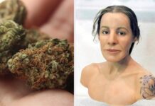 Znaleziska potwierdzają. To był jeden z najstarszych leków w historii ludzkości! Historia księżniczki z UKok