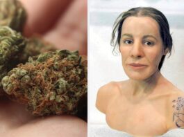 Znaleziska potwierdzają. To był jeden z najstarszych leków w historii ludzkości! Historia księżniczki z UKok