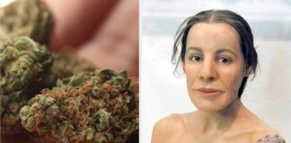 Znaleziska potwierdzają. To był jeden z najstarszych leków w historii ludzkości! Historia księżniczki z UKok