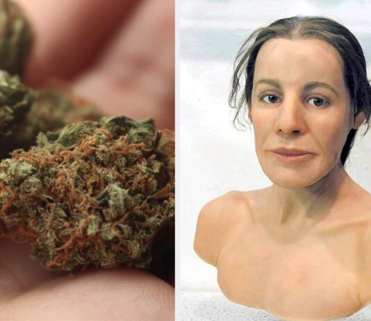 Znaleziska potwierdzają. To był jeden z najstarszych leków w historii ludzkości! Historia księżniczki z UKok