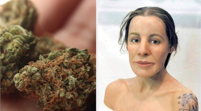 Znaleziska potwierdzają. To był jeden z najstarszych leków w historii ludzkości! Historia księżniczki z UKok