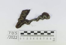 Westerplatte. 1500 artefaktów z IX etapu badań archeologicznych Patka mundurowa szeregowego żołnierza Wojska Polskiego