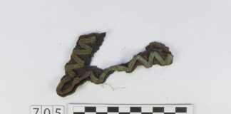 Westerplatte. 1500 artefaktów z IX etapu badań archeologicznych Patka mundurowa szeregowego żołnierza Wojska Polskiego