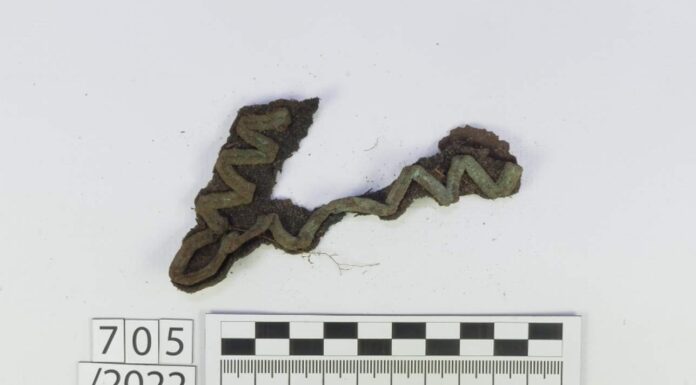 Westerplatte. 1500 artefaktów z IX etapu badań archeologicznych Patka mundurowa szeregowego żołnierza Wojska Polskiego