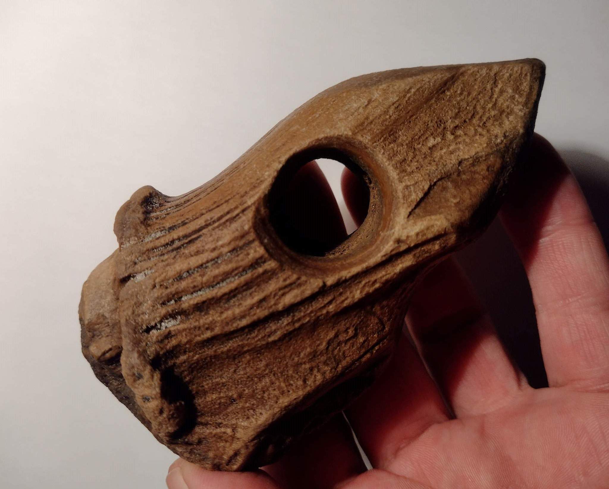 Dziwnów. Spacerowicz odkrył rogowy toporek sprzed 9-7 tys. lat! (GALERIA)