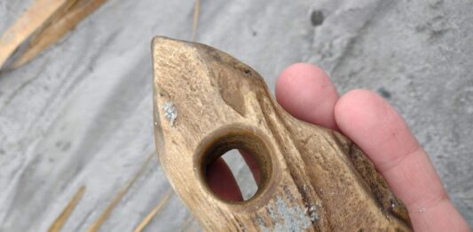 Dziwnów. Spacerowicz odkrył rogowy toporek sprzed 9-7 tys. lat! (GALERIA) Toporek rogowy