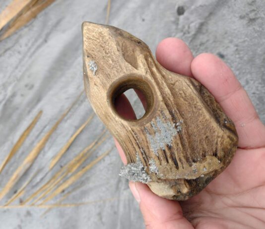 Dziwnów. Spacerowicz odkrył rogowy toporek sprzed 9-7 tys. lat! (GALERIA) Toporek rogowy