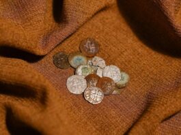 Skarb srebrnych krzyżackich monet odkryty na Mazowszu (GALERIA) Skarb Krzyżackich monet z Jadowa