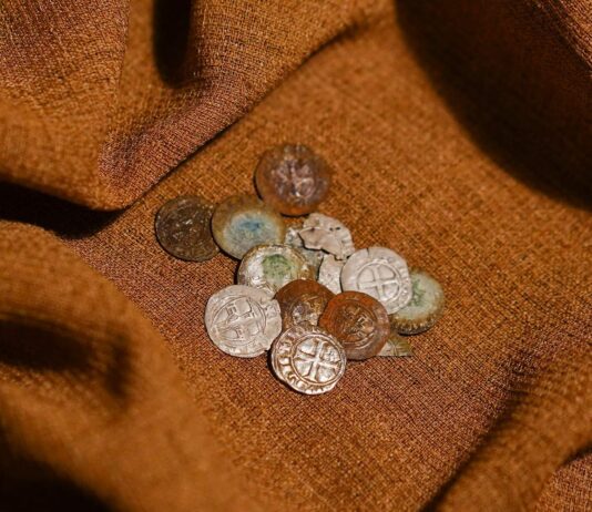 Skarb srebrnych krzyżackich monet odkryty na Mazowszu (GALERIA) Skarb Krzyżackich monet z Jadowa