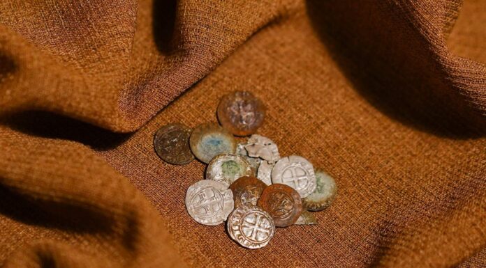 Skarb srebrnych krzyżackich monet odkryty na Mazowszu (GALERIA) Skarb Krzyżackich monet z Jadowa