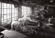 Współpraca psów i ludzi – krótka historia Psy ogrzewające pracowników