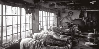 Współpraca psów i ludzi – krótka historia Psy ogrzewające pracowników