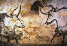 Malowidła z Lascaux to najstarszy „zapis informacji” w historii ludzkości? Naskalne rysunki w jaskini