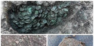 Skarb 8000 rzymskich monet z IV wieku odkryty wykrywaczem (GALERIA) Skarb rzymskich monet odkryty w Anglii