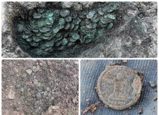 Skarb 8000 rzymskich monet z IV wieku odkryty wykrywaczem (GALERIA) Skarb rzymskich monet odkryty w Anglii