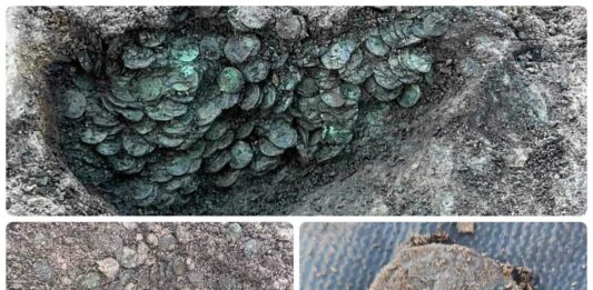 Skarb 8000 rzymskich monet z IV wieku odkryty wykrywaczem (GALERIA) Skarb rzymskich monet odkryty w Anglii