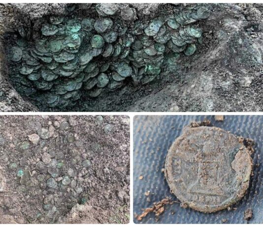 Skarb 8000 rzymskich monet z IV wieku odkryty wykrywaczem (GALERIA) Skarb rzymskich monet odkryty w Anglii