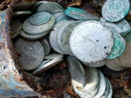 Garnuszek pełen srebrnych monet z IIRP odkryty w lesie (GALERIA) Garnuszek pełen srebrnych monet z IIRP