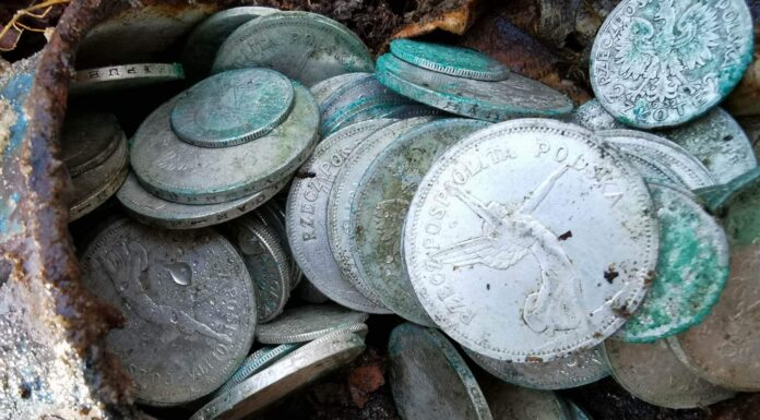 Garnuszek pełen srebrnych monet z IIRP odkryty w lesie (GALERIA) Garnuszek pełen srebrnych monet z IIRP