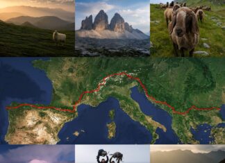 6300km pieszo górami Europy. Pierwsza kobieta, która tego dokonała! (GALERIA) Pieszo górami Europy