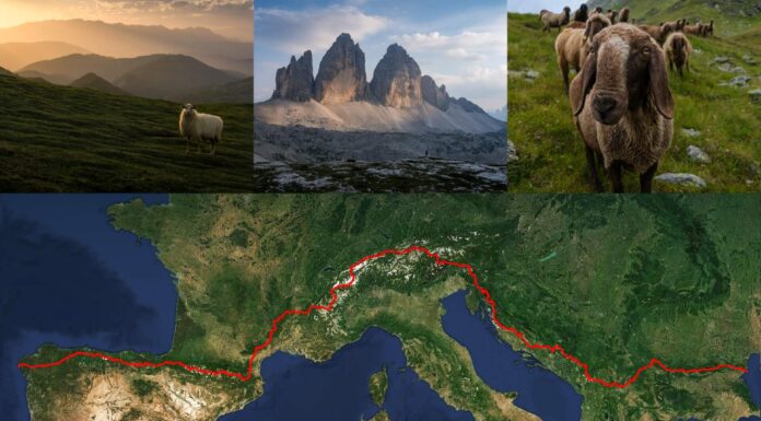 6300km pieszo górami Europy. Pierwsza kobieta, która tego dokonała! (GALERIA) Pieszo górami Europy