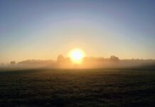 Wielkopolska. Pradziejowa osada na wyspie… której dziś nie ma! Pozostałości wyspy, która już nie istnieje odkryta w Wielkopolsce. W pradziejach bywali na niej ludzie