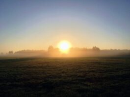 Wielkopolska. Pradziejowa osada na wyspie… której dziś nie ma! Pozostałości wyspy, która już nie istnieje odkryta w Wielkopolsce. W pradziejach bywali na niej ludzie