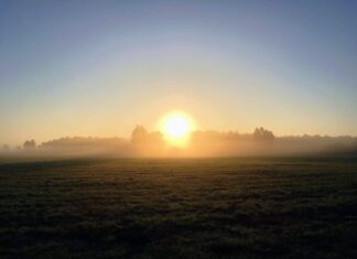 Wielkopolska. Pradziejowa osada na wyspie… której dziś nie ma! Pozostałości wyspy, która już nie istnieje odkryta w Wielkopolsce. W pradziejach bywali na niej ludzie