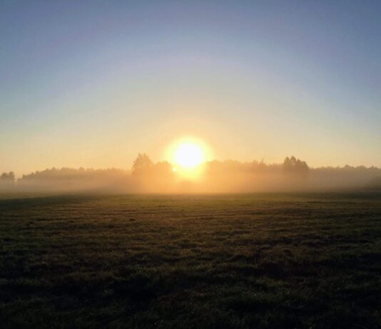 Wielkopolska. Pradziejowa osada na wyspie… której dziś nie ma! Pozostałości wyspy, która już nie istnieje odkryta w Wielkopolsce. W pradziejach bywali na niej ludzie