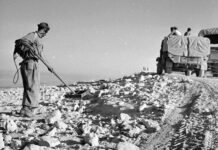 5 marca 1942r. przeprowadzono pierwszą próbę wykrywacza „Mine Detector Polish Mark I” Wykrywacz Polskiej konstrukcji wykorzystywany w czasie bitwy pod El-Alamein