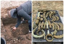 „Tajemnica skarbu Łużyckiego Brązownika” – depozyt sprzed 3 tys. lat! (GALERIA) Skarb odlewnika z Pleśni w województwie Lubuskim