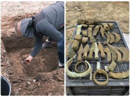 „Tajemnica skarbu Łużyckiego Brązownika” – depozyt sprzed 3 tys. lat! (GALERIA) Skarb odlewnika z Pleśni w województwie Lubuskim