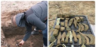 „Tajemnica skarbu Łużyckiego Brązownika” – depozyt sprzed 3 tys. lat! (GALERIA) Skarb odlewnika z Pleśni w województwie Lubuskim